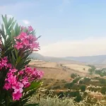 Panoramic Holidays