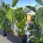 Valerian Palm Villas - Napa'S Secret Escape