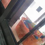 Yiota'S Cute Studio
