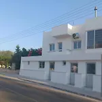 Polianapa Nest
