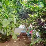 Diamante Guest House-Ground