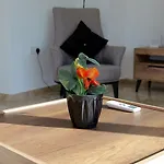 Derin 2 Apartment