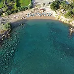 Villa Palm
