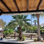 Palm Garden Paradise