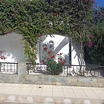 Cyprus Coral Bay Best Beach Pool Villa