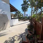 Palm Garden Paradise