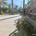 Palm Garden Paradise