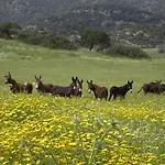 Karpasia Nature Eco Guest House At Rizokarpasso