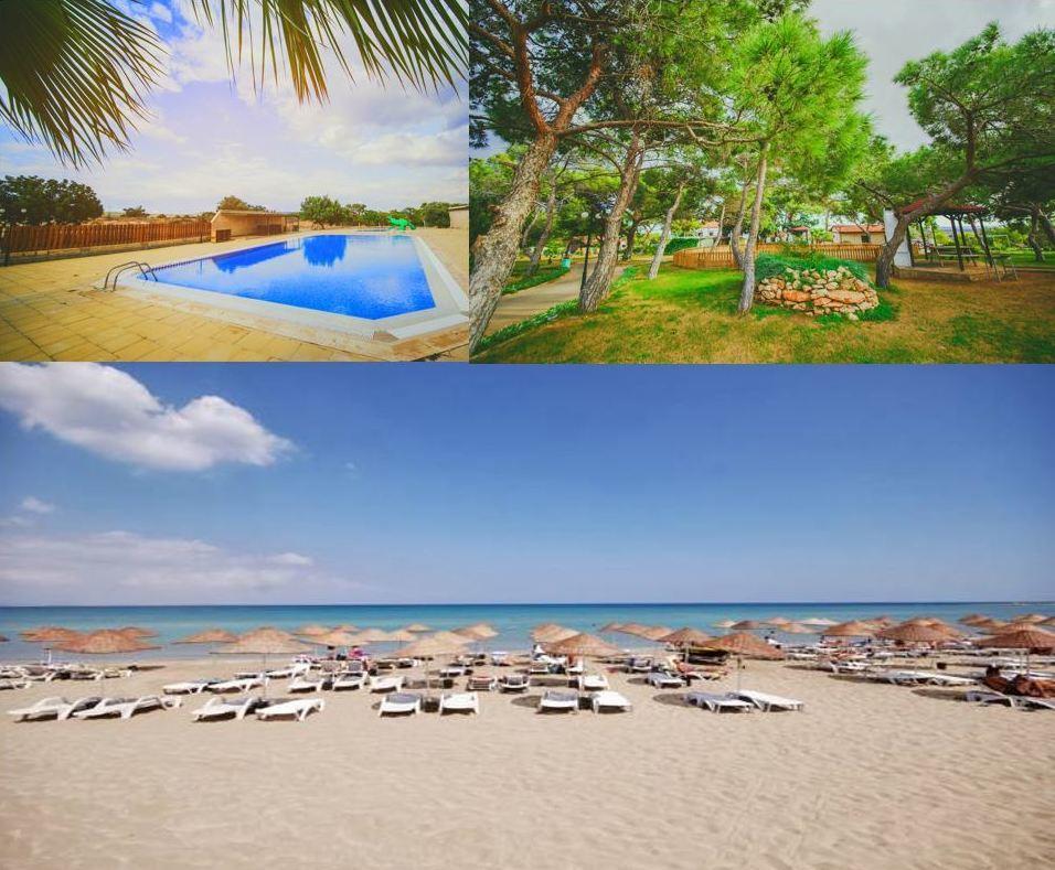 The Pine View Forest Houses & Restaurant & Pool Holiday home