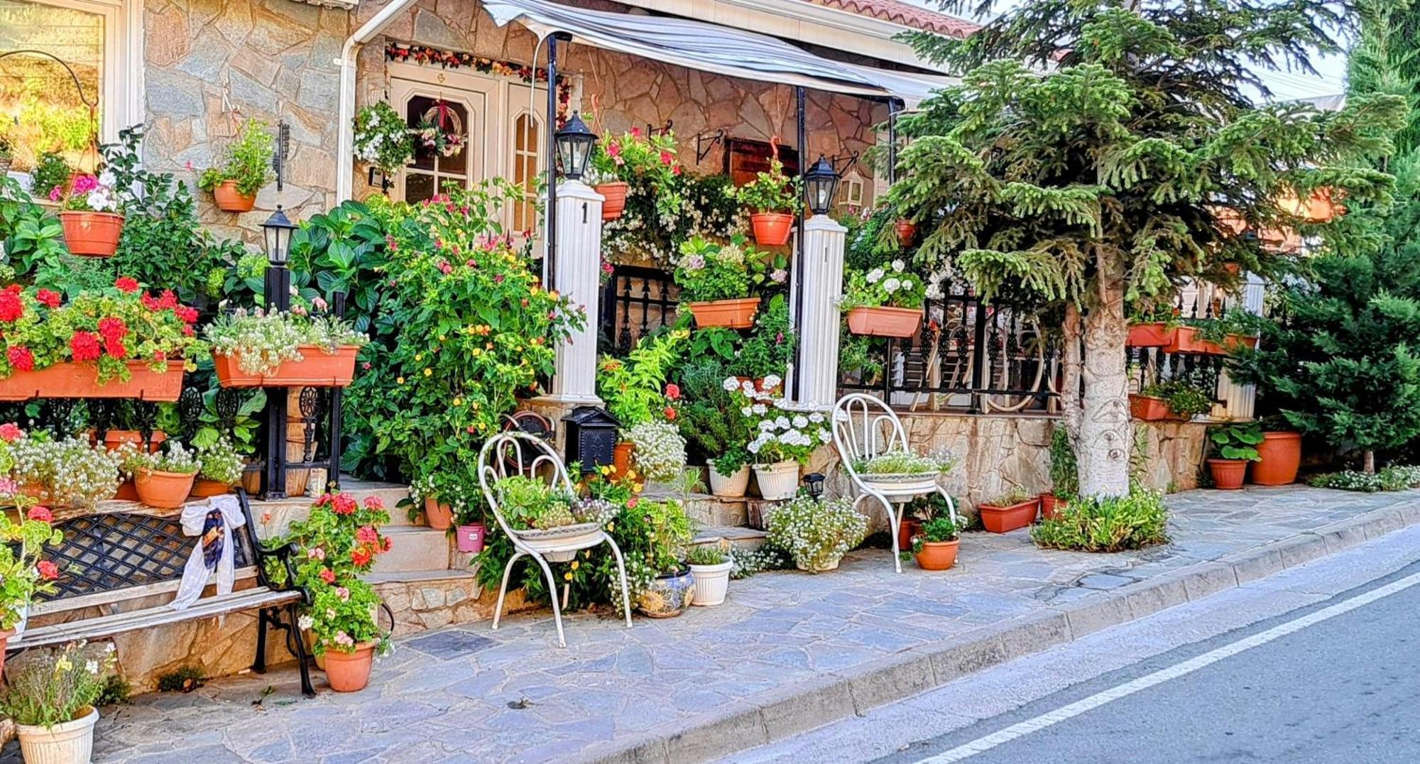 Kyperounta Troodos Mountain House Apartment