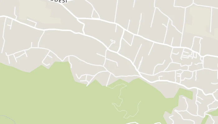 지도